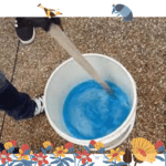 Lugares de producción y especies de café