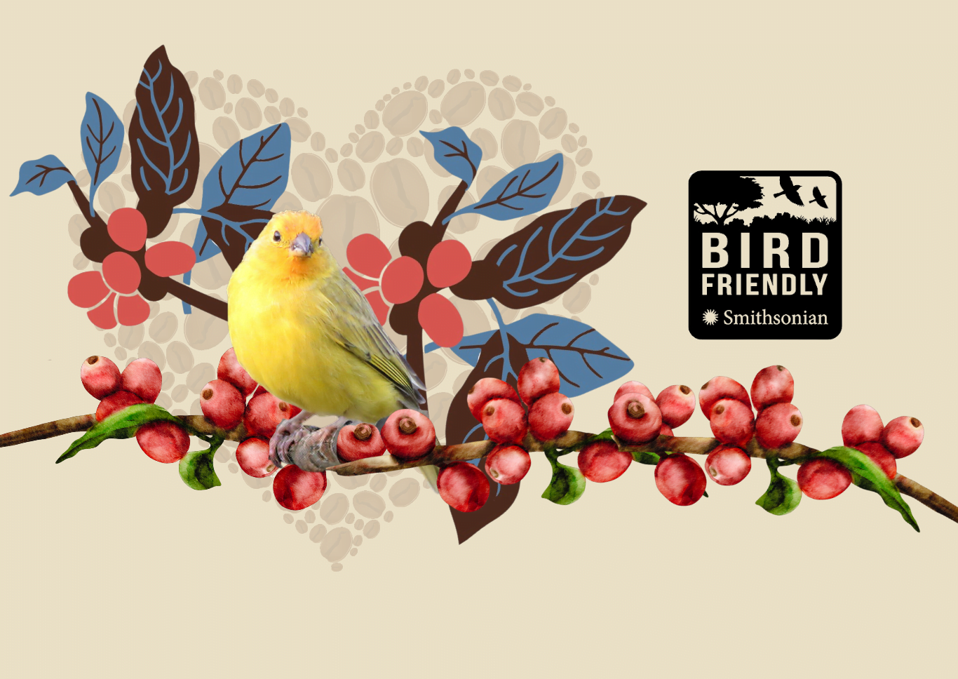 certificacion bird friendly