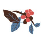 Lizeth Cristina Collazos Quina